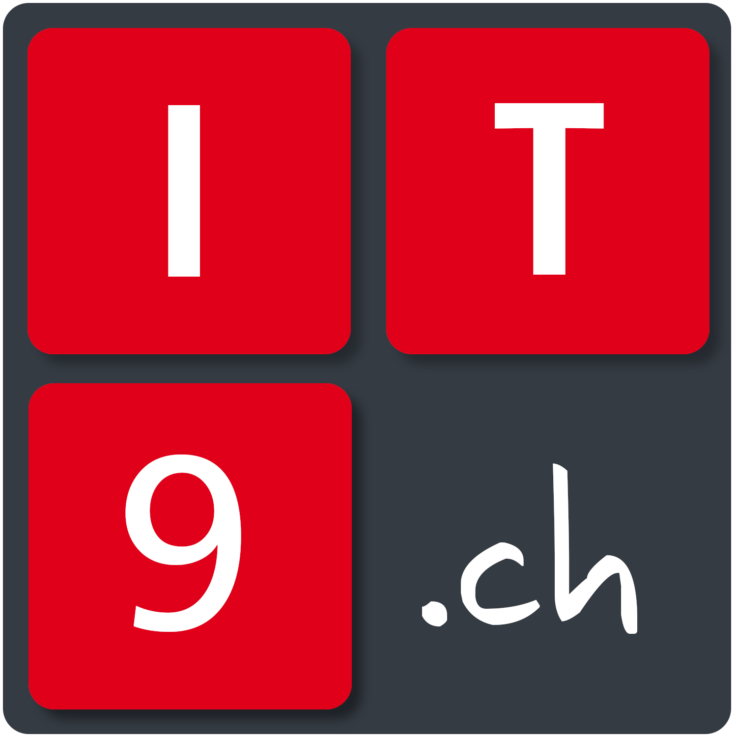 IT9-Logo